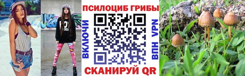 Галлюциногенные грибы мицелий Юхнов